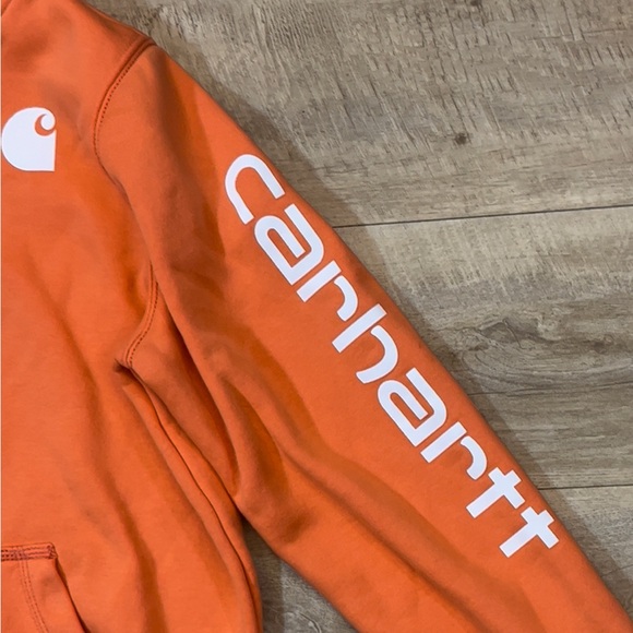 Carhartt Youth Relaxed Fit Clarksburg Sleeve Logo Sweatshirt Hoodie Size L 12-14 - Picture 3 of 7